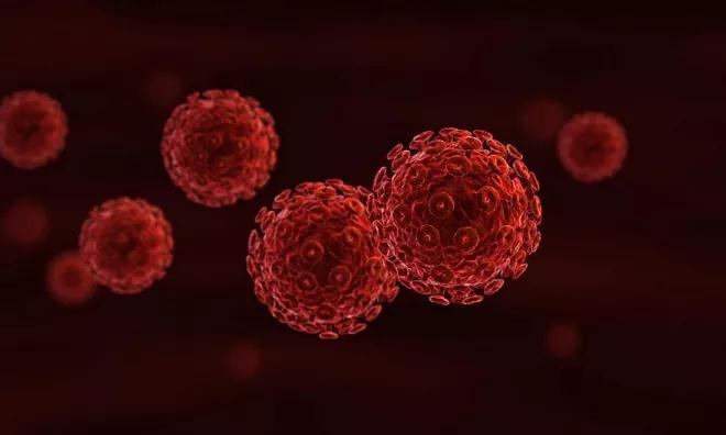Immunity：病毒如何绕过免疫系统，引发慢性感染？ 中国科学网www.minimouse.com.cn