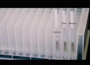 Science：升级CRISPR，可用于多种癌症检测！ 中国科学网www.minimouse.com.cn