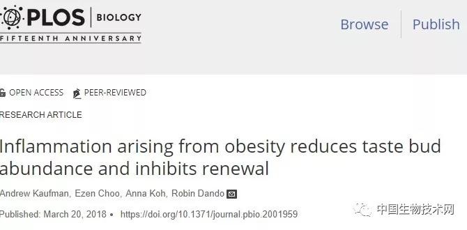 PLoS Biol：为什么胖人吃东西，根本停不下来？ 中国科学网www.minimouse.com.cn
