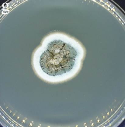 815fe4fe3f828359f59f3b3c894d1152